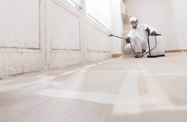 24/7 Emergency Mold Cleanup experts in Clermont, FL