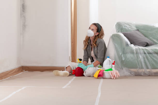 Reliable Mold Cleanup contractor in Clermont, FL by WQB Mold Removal